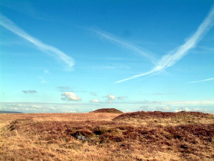 Browngelly Bodmin Moor